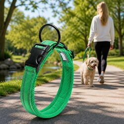 Reliable Dog Collar for Daily Walks and Adventures