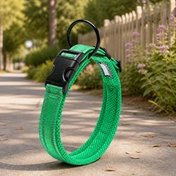 Heavy Duty Reflective Dog Collar with Safety Lock Clip Buckle Green 3XL
