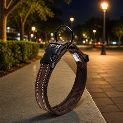 Practical Reflective Dog Collar for Everyday Use