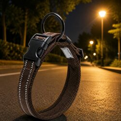 Practical XS Dog Collar for Everyday Use