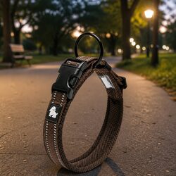 Reliable Dog Collar for Active Lifestyles