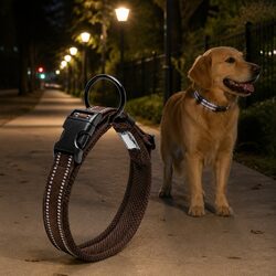 Functional Dog Collar with Reflective Elements for Safety