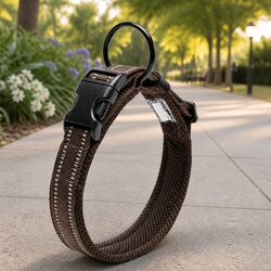 Durable Reflective Dog Collar with Safety Features