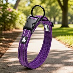 Ideal Dog Collar for Secure and Visible Walks
