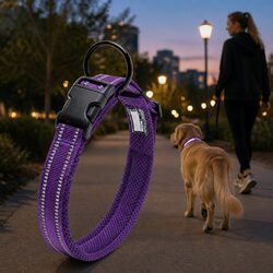 Practical XS Purple Dog Collar for Evening Walks