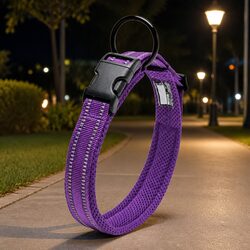 Everyday Use Heavy Duty Dog Collar in Purple