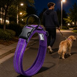 Practical Heavy Duty Reflective Dog Collar for Walks