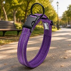 Practical Heavy Duty Reflective Dog Collar for Daily Use