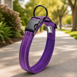 Practical Use of Heavy Duty Reflective Dog Collar 3XL