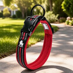 Heavy Duty Reflective Dog Collar with Safety Lock Clip Stainless Steel O Ring XS