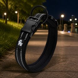 Practical Reflective Dog Collar for Everyday Use