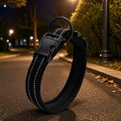 Versatile Heavy Duty Dog Collar for Daily Adventures