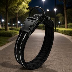 The Ideal Reflective Dog Collar for Daily Use