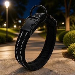 A Practical Dog Collar for Everyday Use