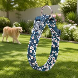 Ideal Floral Dog Collar for Everyday Use