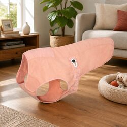Dog Winter Coat for Small Dogs in Cold Weather