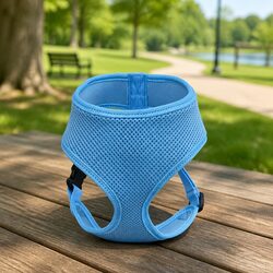 Perfect Dog Harness for Everyday Use and Walks