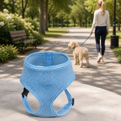 Dog Harness with Steel D Ring XL Blue Everyday Adjustable Breathable Mesh Pet