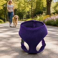 Dog Harness with Steel D Ring Purple M Size Lightweight Breathable Mesh