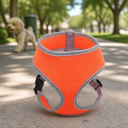 Dog Harness Steel D Ring Adjustable Chest Belt Breathable Mesh Pet Safety Orange