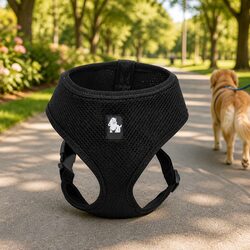 Everyday Dog Harness for Daily Adventures