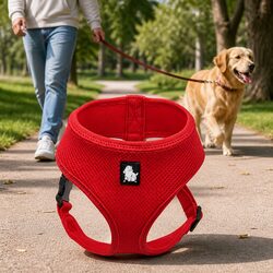 Dog Harness with Steel D Ring Red Small Breathable Mesh Adjustable Chest Belt