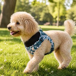 Dog Harness Floral Design Lightweight Cotton Adjustable Straps Reflective Safety