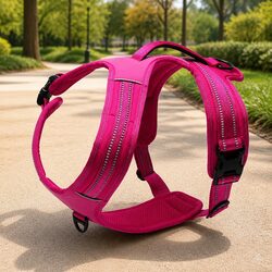 Practical No Pull Dog Harness for Daily Walks and Activities