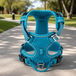 Practical XS No Pull Harness for Everyday Use