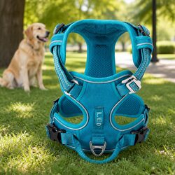 No Pull Dog Harness Large Blue Breathable Mesh Reflective Night Safety