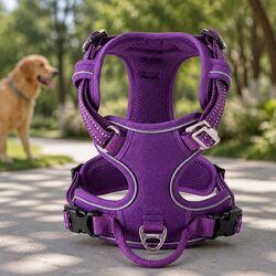 No Pull Dog Harness with Reflectors Breathable Mesh Pet Harness Easy On Off M