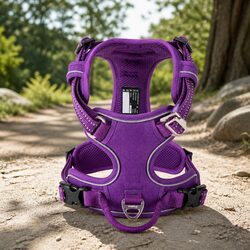 Practical XL Purple Dog Harness for Your Everyday Walks