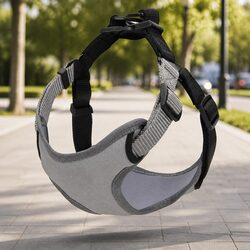 Practical Adjustable Dog Harness for Safe Walking and Travel