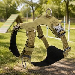 Ideal Dog Harness for Everyday Training and Use