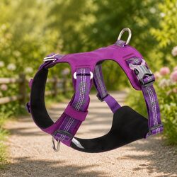 Lightweight Reflective No Pull Dog Harness Purple 2XS Pet Control