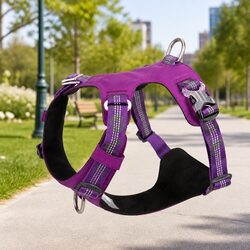 Practical XS Reflective No Pull Dog Harness in Purple
