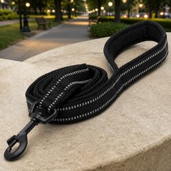 Reflective Dog Leash 2m Nylon Pet Lead XS Black Lightweight Swivel Hook