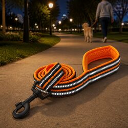 Practical 2m XS Reflective Dog Lead for Nighttime Use