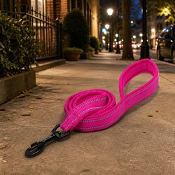 Perfect Fit for Daily Walks: Reflective Dog Leash 2m Pink XS