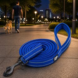 Reflective Dog Leash for Practical Night Walks