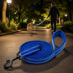 Safe and Durable 2m Reflective Dog Leash for Large Breeds