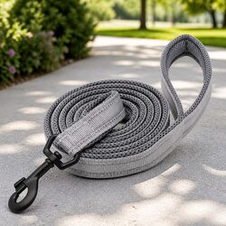 Practical 2m Reflective Dog Leash for Safe Walks