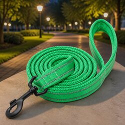 Practical 2m Leash for Large Dogs with Reflective Design