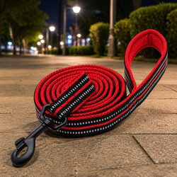 Practical Use of 2m Reflective Dog Leash for Evening Walks