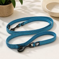 Multi-Function Dog Lead Leash Training Exercise Hands Free Long Tether Traffic