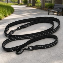 Real-World Use Cases for the Multi-Function Dog Lead