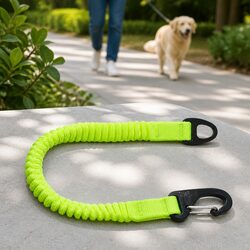 Practical Bungee Leash Extension for Everyday Dog Walks