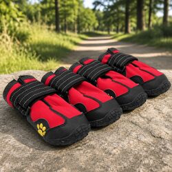 Practical Dog Booties for Cold Weather Protection