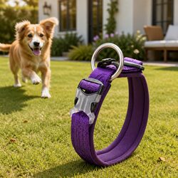 Practical Purple Dog Collar for Everyday Use