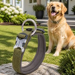 Practical Army Green Dog Collar 2XS for Everyday Use